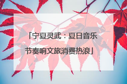 宁夏灵武：夏日音乐节奏响文旅消费热浪