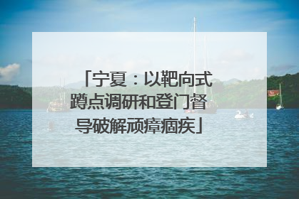 宁夏：以靶向式蹲点调研和登门督导破解顽瘴痼疾