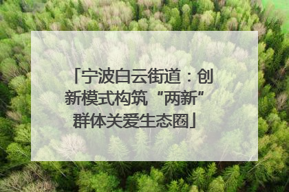 宁波白云街道：创新模式构筑“两新”群体关爱生态圈