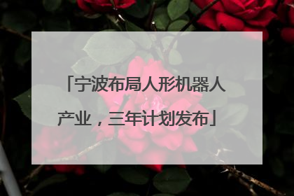 宁波布局人形机器人产业，三年计划发布
