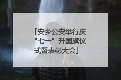 安乡公安举行庆“七一”升国旗仪式暨表彰大会