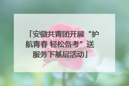 安徽共青团开展“护航青春 轻松备考”送服务下基层活动