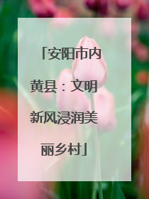 安阳市内黄县：文明新风浸润美丽乡村
