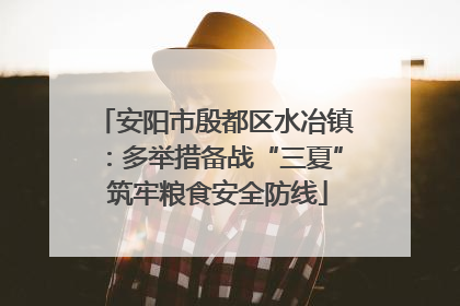 安阳市殷都区水冶镇：多举措备战“三夏” 筑牢粮食安全防线