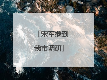 宋军继到我市调研