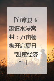 宜章县玉溪镇水浸窝村：万亩杨梅开启夏日“甜蜜经济”