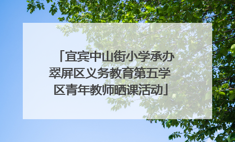宜宾中山街小学承办翠屏区义务教育第五学区青年教师晒课活动