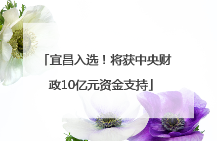 宜昌入选！将获中央财政10亿元资金支持