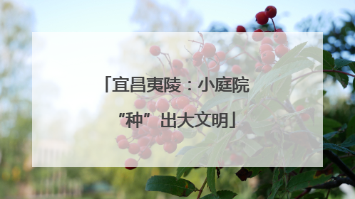 宜昌夷陵：小庭院“种”出大文明