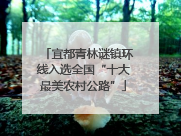 宜都青林谜镇环线入选全国“十大最美农村公路”
