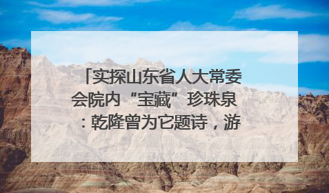 实探山东省人大常委会院内“宝藏”珍珠泉：乾隆曾为它题诗，游客无需预约免费游览