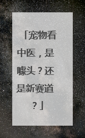 宠物看中医，是噱头？还是新赛道？