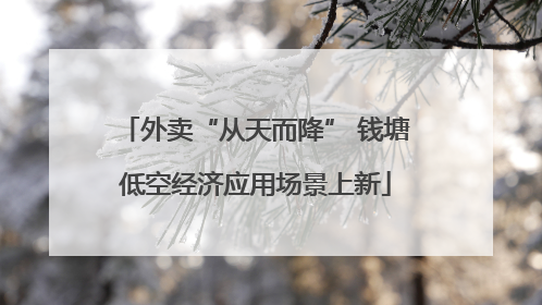 外卖“从天而降” 钱塘低空经济应用场景上新