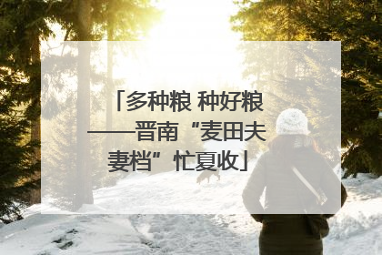 多种粮 种好粮——晋南“麦田夫妻档”忙夏收