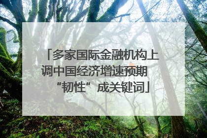多家国际金融机构上调中国经济增速预期 “韧性”成关键词