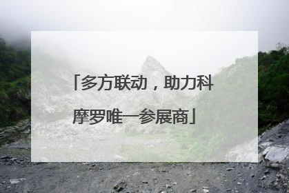 多方联动，助力科摩罗唯一参展商