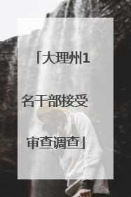 大理州1名干部接受审查调查