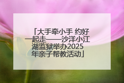 大手牵小手 约好一起走——沙洋小江湖监狱举办2025年亲子帮教活动