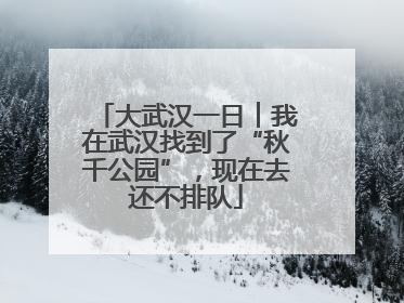 大武汉一日︱我在武汉找到了“秋千公园”，现在去还不排队