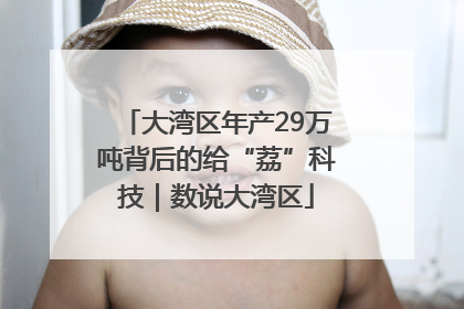 大湾区年产29万吨背后的给“荔”科技｜数说大湾区