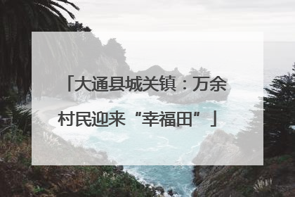 大通县城关镇：万余村民迎来“幸福田”