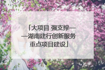大项目 强支撑——湖南建行创新服务重点项目建设
