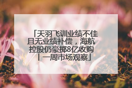 天羽飞训业绩不佳且无业绩补偿，海航控股仍豪掷8亿收购丨一周市场观察