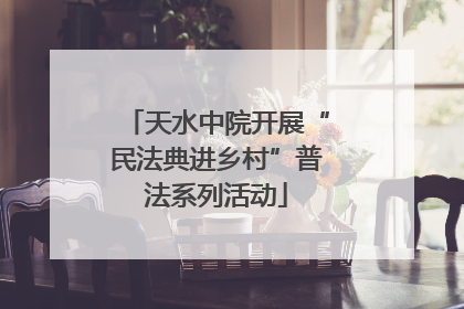 天水中院开展“民法典进乡村”普法系列活动