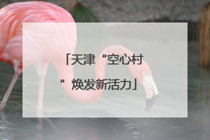 天津“空心村”焕发新活力
