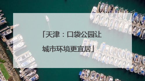 天津：口袋公园让城市环境更宜居