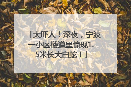 太吓人！深夜，宁波一小区楼道里惊现1.5米长大白蛇！