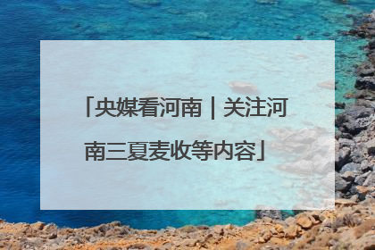 央媒看河南｜关注河南三夏麦收等内容