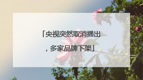 央视突然取消播出，多家品牌下架