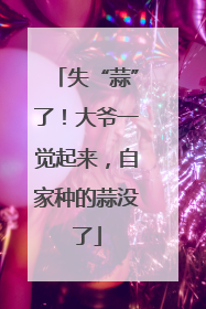 失“蒜”了！大爷一觉起来，自家种的蒜没了