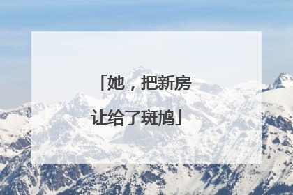 她，把新房让给了斑鸠