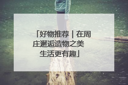 好物推荐｜在周庄邂逅造物之美 生活更有趣