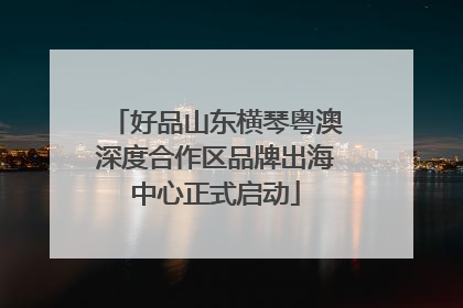 好品山东横琴粤澳深度合作区品牌出海中心正式启动
