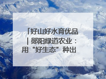 好山好水育优品｜郧阳绿道农业：用“好生态”种出“好味道”