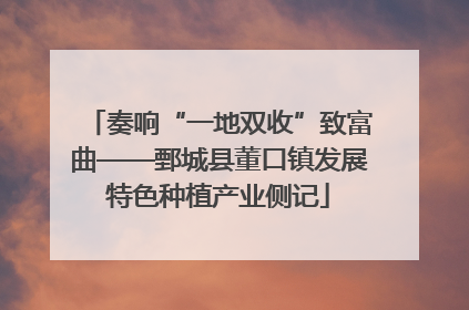 奏响“一地双收”致富曲——鄄城县董口镇发展特色种植产业侧记