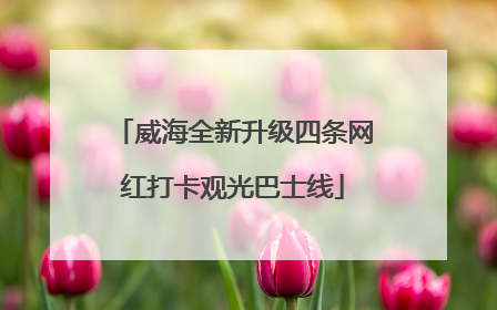 威海全新升级四条网红打卡观光巴士线