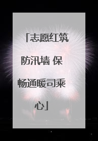 志愿红筑防汛墙 保畅通暖司乘心