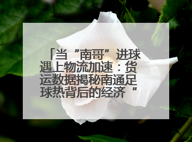 当“南哥”进球遇上物流加速：货运数据揭秘南通足球热背后的经济“射门”