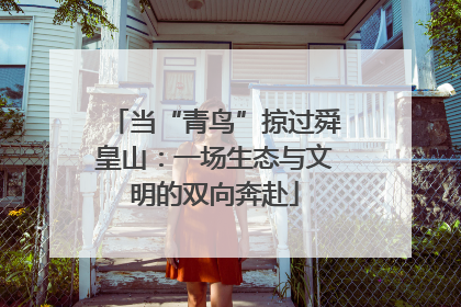 当“青鸟”掠过舜皇山：一场生态与文明的双向奔赴