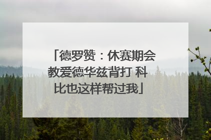 德罗赞：休赛期会教爱德华兹背打 科比也这样帮过我