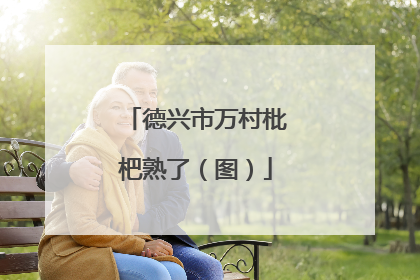 德兴市万村枇杷熟了（图）