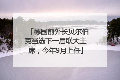 德国前外长贝尔伯克当选下一届联大主席，今年9月上任