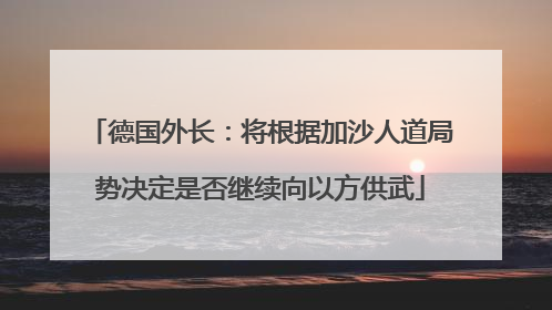 德国外长：将根据加沙人道局势决定是否继续向以方供武