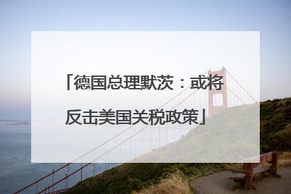 德国总理默茨：或将反击美国关税政策