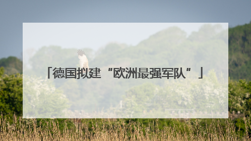 德国拟建“欧洲最强军队”