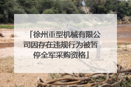徐州重型机械有限公司因存在违规行为被暂停全军采购资格